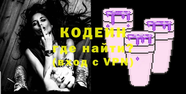 шишки Бородино