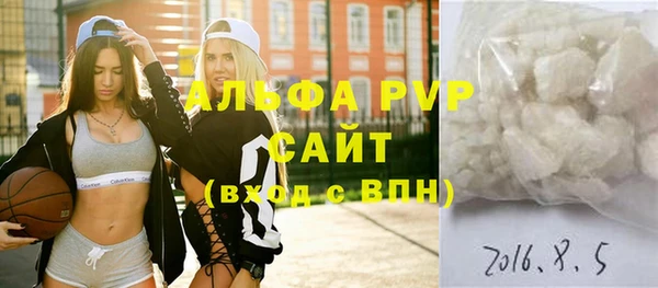шишки Бородино