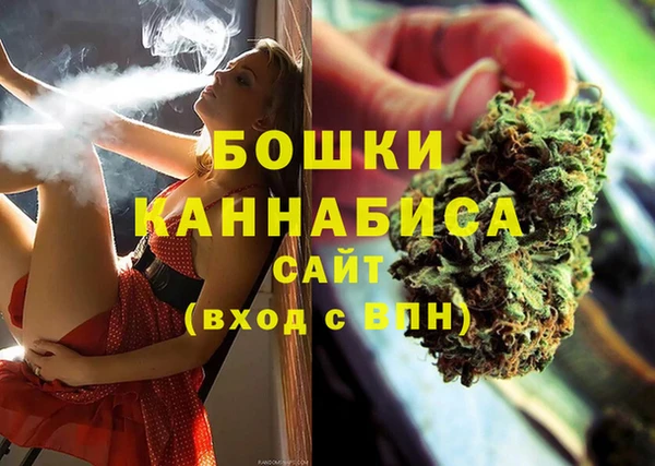 гидра Богородицк