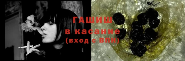 шишки Бородино