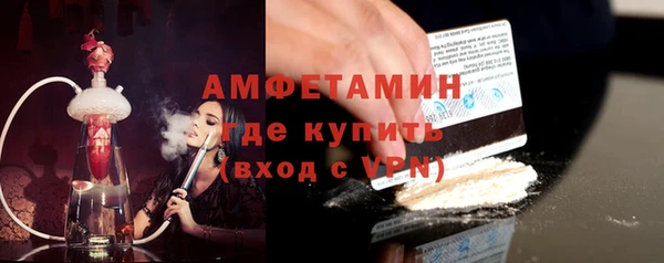 шишки Бородино