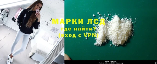 шишки Бородино