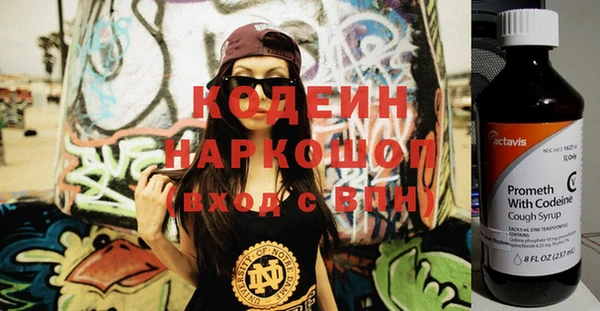 шишки Бородино