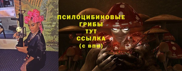 соль ск Бронницы
