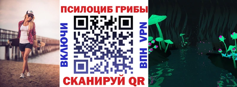 где купить наркоту  Дальнереченск  Галлюциногенные грибы MAGIC MUSHROOMS 